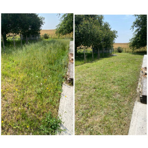 Photo de galerie - Tonte et débroussaillage 