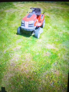 Photo de galerie - Jardinier