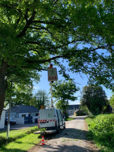 Photo de galerie - Chantier  D élagage chez un client 
