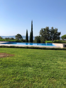 Photo de galerie - Tonte de gazon 