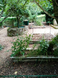 Photo de galerie - Tonte de pelouse - Débroussaillage