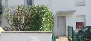 Photo de galerie - Taille de haies et d'arbustes