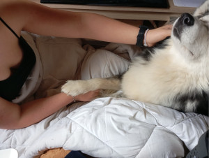 Photo de galerie - On a nos habitué qui savent exactement où aller chercher des papouilles