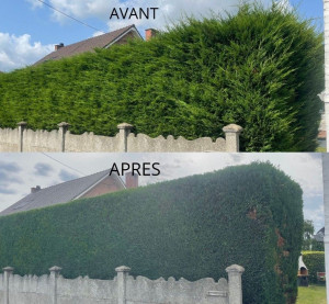 Photo de galerie - .