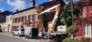 Photo de galerie - Elagage et coupe d'arbres