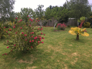 Photo de galerie - Entretien jardin