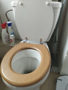 Photo de galerie - Remplacement abattant WC 