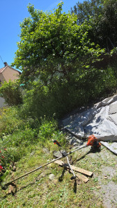 Photo de galerie - Paysagiste - Aménagement du jardin