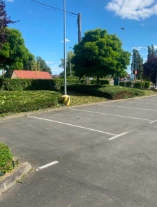 Photo de galerie - Taille de haies et d'arbustes