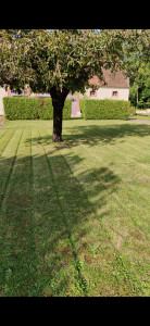 Photo de galerie - Bricolage et multi services