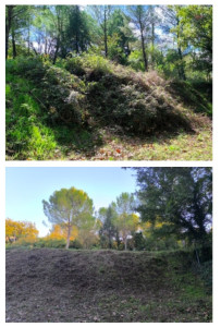 Photo de galerie - Débroussaillage roncier