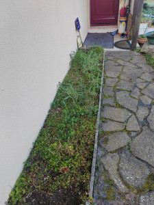 Photo de galerie - Jardinier