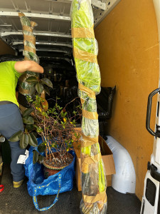 Photo de galerie - Déménagement dans un 11m2