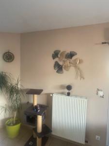 Photo de galerie - Peinture - Tapisserie