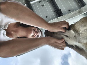 Photo de galerie - Garde animaux