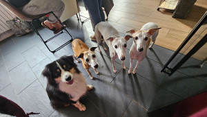 Photo de galerie - Sortie entre copains