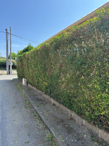 Photo de galerie - Prestation 