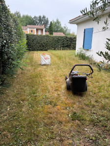 Photo de galerie - Tonte de la pelouse 