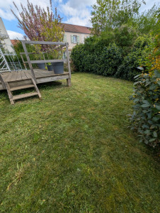 Photo de galerie - Tonte de pelouse - Débroussaillage