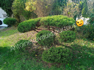 Photo de galerie - Notre réalisation.