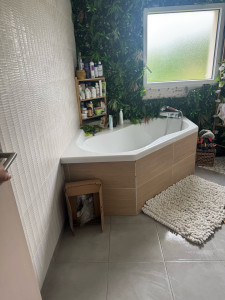 Photo de galerie - Nettoyage de la salle de bain 