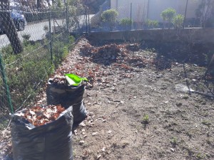 Photo réalisation - Jardinier - Galbané A. - Manosque (Seminaire Colombier) : Ramassage des feuilles et netoyage du jardin 
