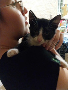 Photo de galerie - Famille d'accueil pour cette petite chatonne