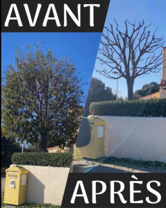 Photo de galerie - Photo de mon travaille