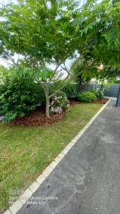 Photo de galerie - Jardinier