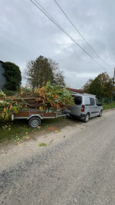 Photo de galerie - Nous effectuons aussi l’évacuation des déchets verts ou autre