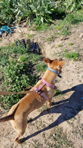 Photo de galerie - Promenade