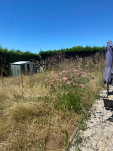 Photo de galerie - Tonte de pelouse - Débroussaillage