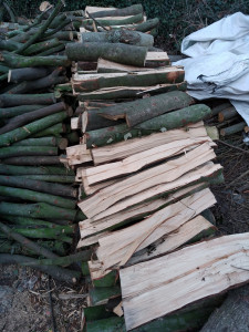 Photo de galerie - Découpe de bois de chauffage