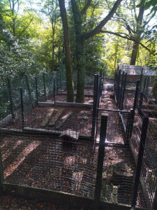 Photo de galerie - Clôture Grillage