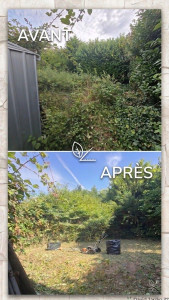 Photo de galerie - Remise en état d’un jardin