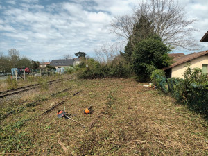 Photo de galerie - Tonte de pelouse - Débroussaillage