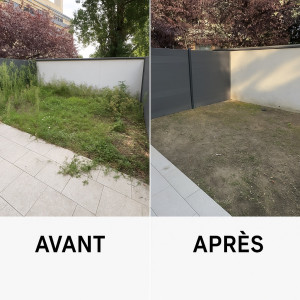 Photo de galerie - Débroussaillage complet d’un client . 