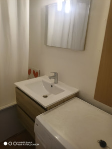 Photo de galerie - Remplacement du meuble vasque et pose du mitigeur du lavabo 