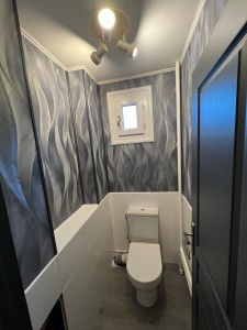 Photo de galerie - Rénovation d un toilette 