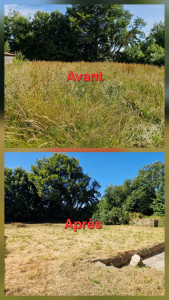 Photo de galerie - Débroussaillage d'un terrain de 1000m2 avec une hauteur de mauvaises herbes de 1,70m