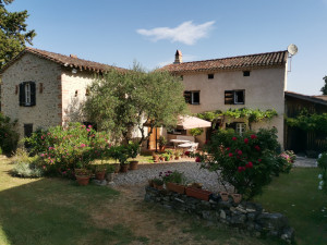 Photo de galerie - Paysagiste - Aménagement du jardin