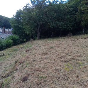 Photo de galerie - Après, débroussaillage, la photo avant sur mon profil 