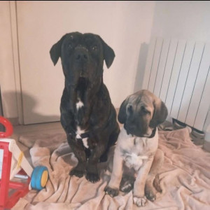 Photo de galerie - Deux gros bébé 