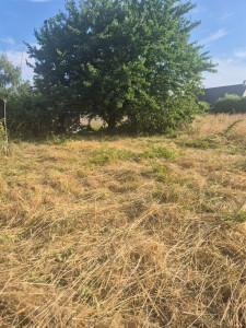 Photo de galerie - Prestation de debroussaillage 