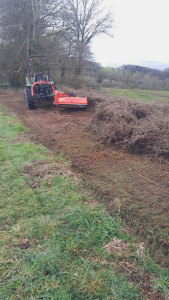 Photo de galerie - Tonte de pelouse - Débroussaillage