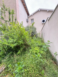 Photo de galerie - Elagage et coupe d'arbres