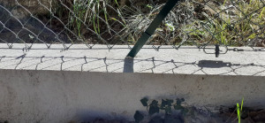 Photo de galerie - Remise en état et renfort clôture suite intrusion sangliers 4