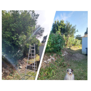 Photo de galerie - 30m de haie et d'arbres à entretenir.
hauteur +4m réduit à 2m 
