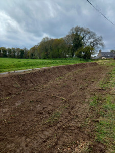 Photo de galerie - Paysagiste - Aménagement du jardin