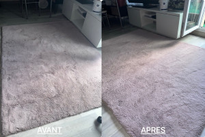 Photo de galerie - Nettoyage tapis en profondeur 